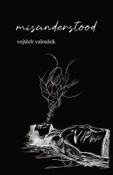 Misunderstood - Valousek Vojtěch
