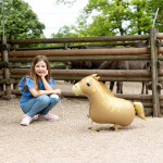 Kůň chodící balónek 54 cm x 96 cm Amscan Kůň chodící balónek 54 cm x 96 cm Amscan