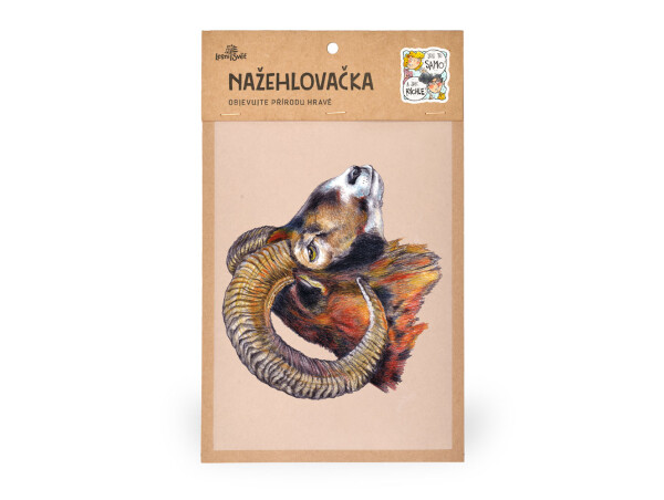 Nažehlovačka M 026 - Muflon hlava