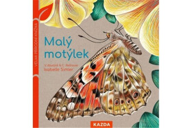 Malý motýlek