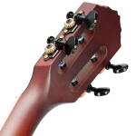 Ortega RTPS Tenor NAT