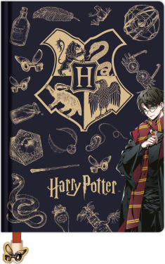 Harry Potter blok A5 (Navy & Gold) DPL6 - EPEE
