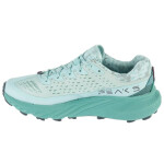 Běžecká obuv Merrell Agility Peak 5 W J068266 38