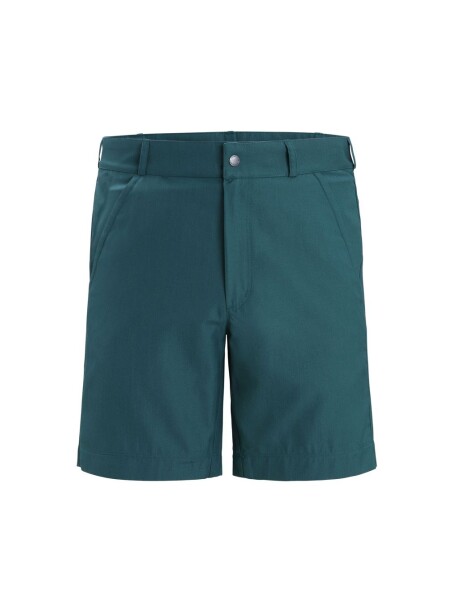 ICEBREAKER Mens Hike Shorts, Green Glory velikost: 30