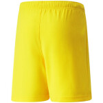 Dětské šortky TeamRise Short Jr 704943 07 - Puma 140cm