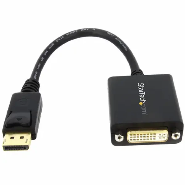 StarTech Adaptér DisplayPort na DVI / Adaptér (DP2DVI2)