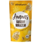 01/2026 Allnature Ananas sušený mrazem kousky 30 g