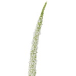 Bloomingville Umělá květina Foxtail White 73 cm, bílá barva, plast