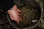 Nikl Boilies Economic Feed Rape Cloud 5kg - 20mm,Nikl Boilies Economic Feed Rape Cloud 5kg - 20mm