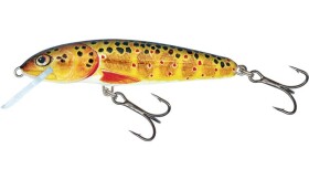 Salmo Wobler Minnow Floating 7cm - Trout,Salmo Wobler Minnow Floating 7cm - Trout