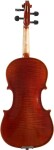 Bacio Instruments AA100