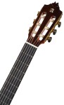 Alhambra 9 P Senorita