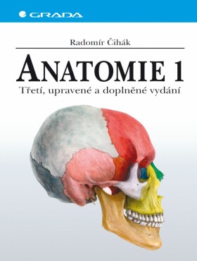 Anatomie