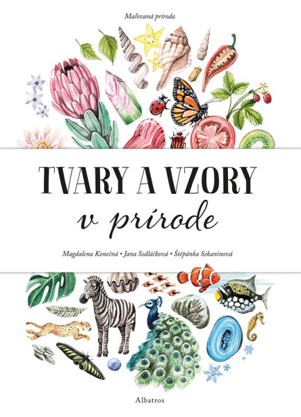 Maľovaná príroda - Tvary a vzory v prírode - Jana Sedláčková