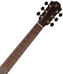 Furch Rainbow Dc-LG CNR Active