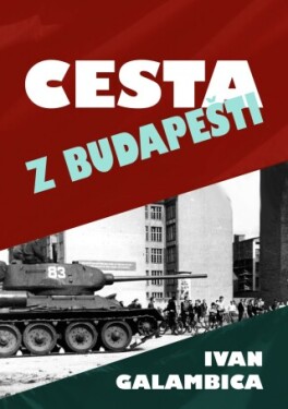 Cesta z Budapešti - Ivan Galambica - e-kniha