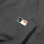 Nike Pánské kraťasy Baltimore Orioles MLB 2025 City Connect Authentic Shorts Velikost: S