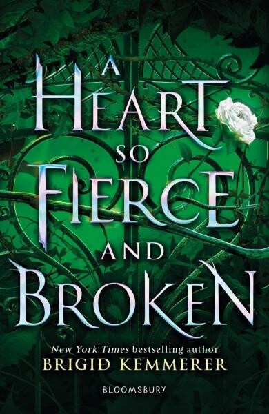 A Heart So Fierce and Broken - Brigid Kemmerer