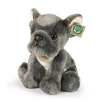 Francouzský buldoček 26 cm