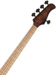 Cort GB-Fusion 5 ABB (použité)