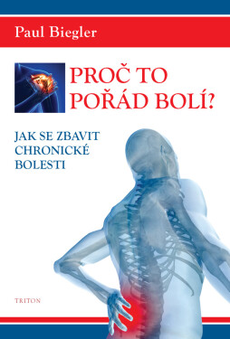 Proč to pořád bolí? - Paul Biegler