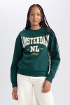 DEFACTO Regular Fit Crew Neck Thick Sweatshirt