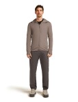 Pánská merino mikina ICEBREAKER Mens 260 Quantum IV LS Zip Hoodie, Porcini velikost: XL
