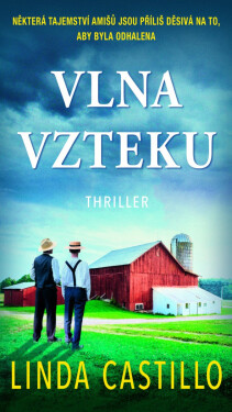 Vlna vzteku - Linda Castillo