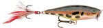 Rapala Wobler Skitter Pop Top Water Fresh F - 7cm 7g,Rapala Wobler Skitter Pop Top Water Fresh F - 7cm 7g