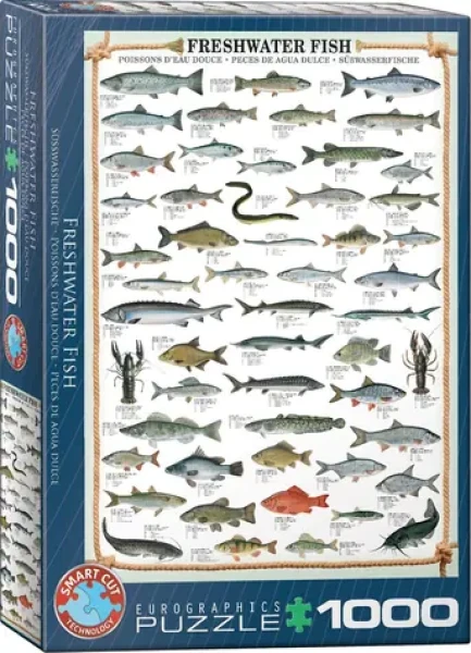 EUROGRAPHICS Puzzle Sladkovodní ryby