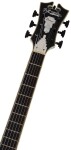 D'Angelico Premier SS Fabrizio Sotti Signature Fabrizio Blue (použité)