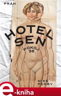 Hotel Sen, pokoj 36. Odvážná až drásavá výpověď o lásce i složitostech vztahů po změně pohlavní identity - Mike Perry e-kniha