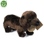 Plyšový pes jezevčík stojící 2dr. 19 cm ECO-FRIENDLY