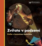 Zvířata v podzemí - Kniha s kouzelnou baterkou - Daniel Moignot