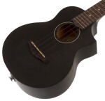 Ibanez UEW12E Black Ice