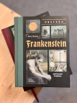 Frankenstein - Mary W. Shelley