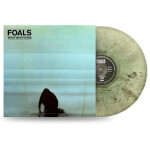 What Went Down - LP - Foals