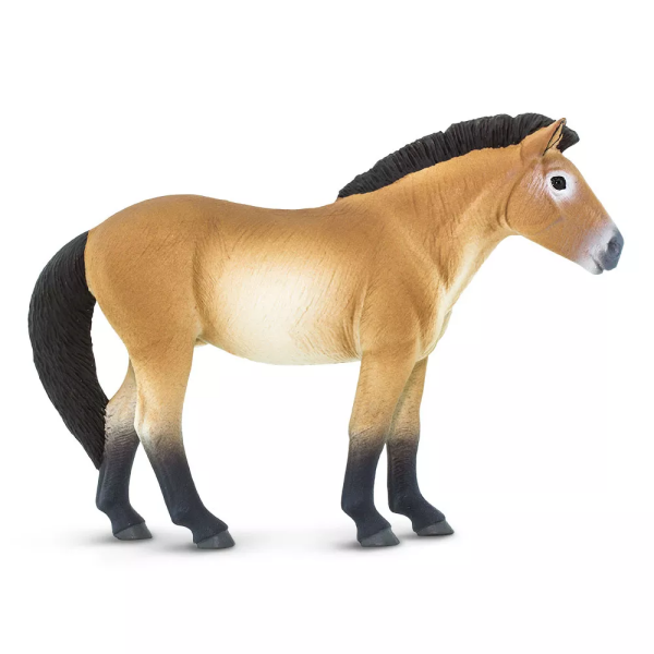 Safari Ltd. Safari Ltd. Figurka - Kůň převalského