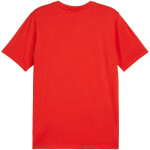 Puma Team Goal Casuals Tee M 658615 01 pánské L