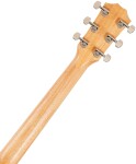 Taylor 210ce Plus