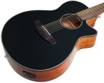 Ibanez AEG5012H Black