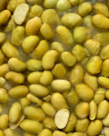 Vilgain Edamame BIO – 200 g