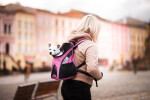 Basic batoh pro psa | do 3 Kg Barva: Černá, Dle váhy psa: do 3 kg