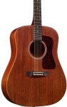 Guild D-20E NAT