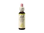 Bílá lesní réva (Clematis) 20 ml - Bachovy esence Dr.Bach