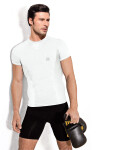 Pánské bezešvé triko krátký rukáv Barva: Velikost: Active-Fit