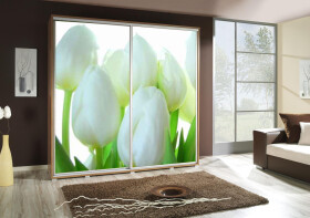Šatní skříň Penelopa 2 Tulipány Barva korpusu: Kaštan - wenge, Rozměry: 205 cm