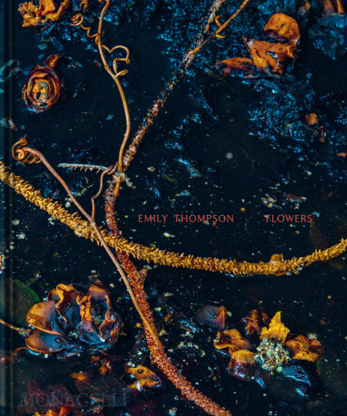 Emily Thompson Flowers - Shane Connolly
