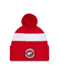 Pánská zimní čepice Detroit Red Wings NHL New Era Cold Winter