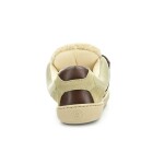 Shapen Teddy Brown